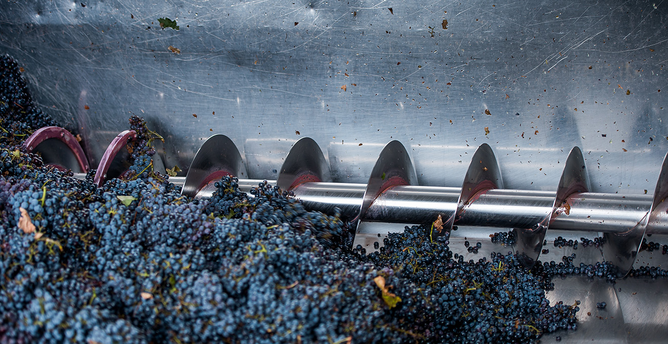 Monari-Federzoni-il-nostro-balsmaico-dalla-vigna-alla-tavola-pigiatura-01